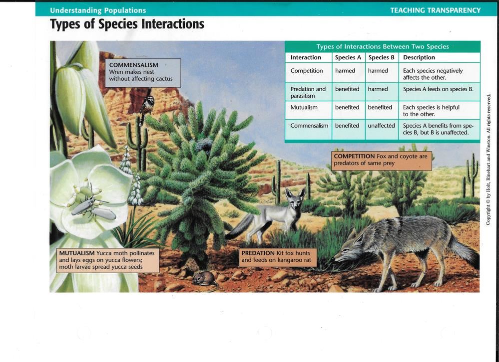Types of Species Interactions